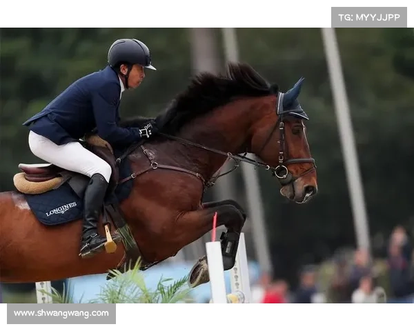 2019香港赛马日程