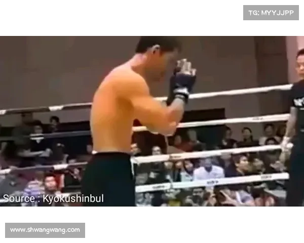 mma重大赛事、mma 比赛 mma重大赛事、mma 比赛