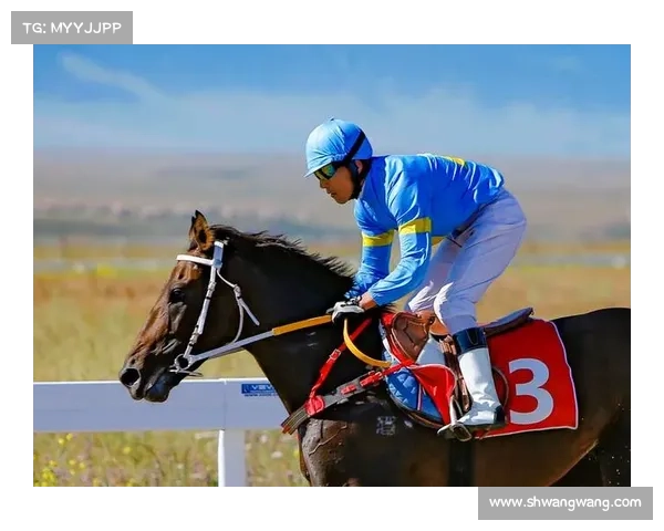 体育赛马是有正规平台吗